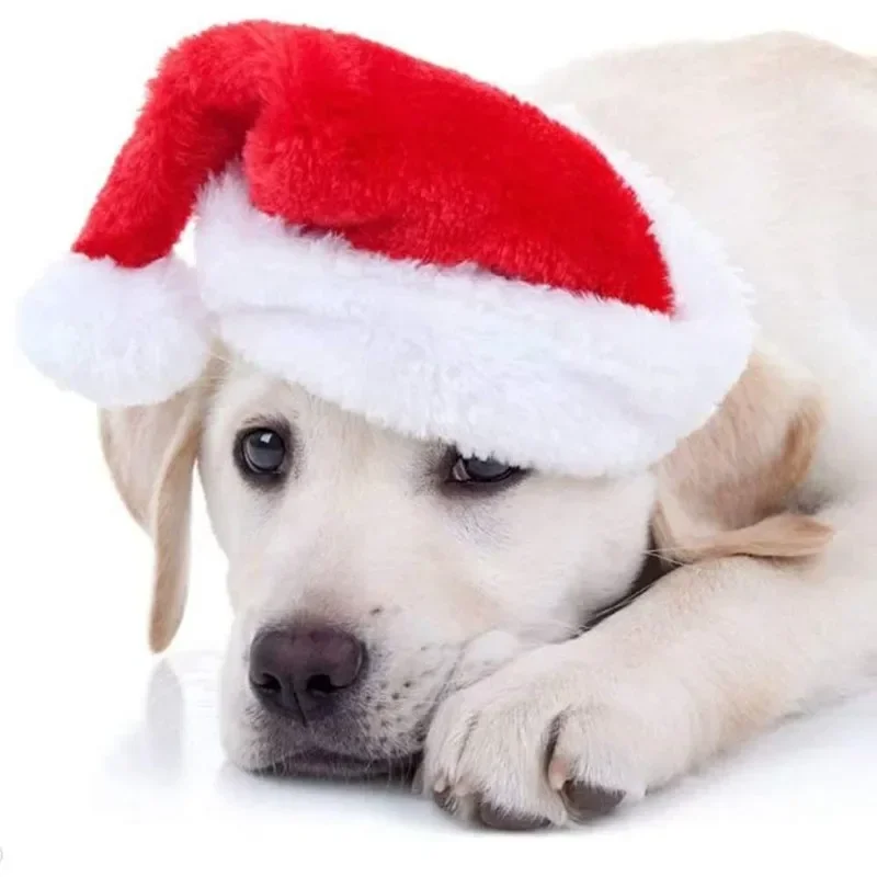 Christmas Pet Santa Hat Red Pl - огляд і ціна Santa Hat Plush